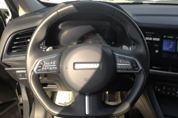 Used Haval F7 2021 1.5T Two-Wheel Drive i-Trend Steering Wheel