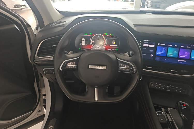 Used Haval F7 2021 1.5T Two-Wheel Drive i-Trend Steering Wheel
