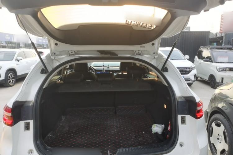Used Haval F7 2021 2.0T Two-Wheel Drive i-Van Trunk