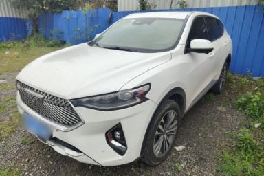 Used Haval F7 2021 2.0T Two-Wheel Drive i-Van