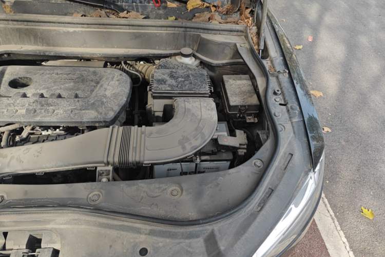 Used Haval F7x 2021 2.0T Two-Wheel Drive Intelligent Technology Edition Engine Bay Left
