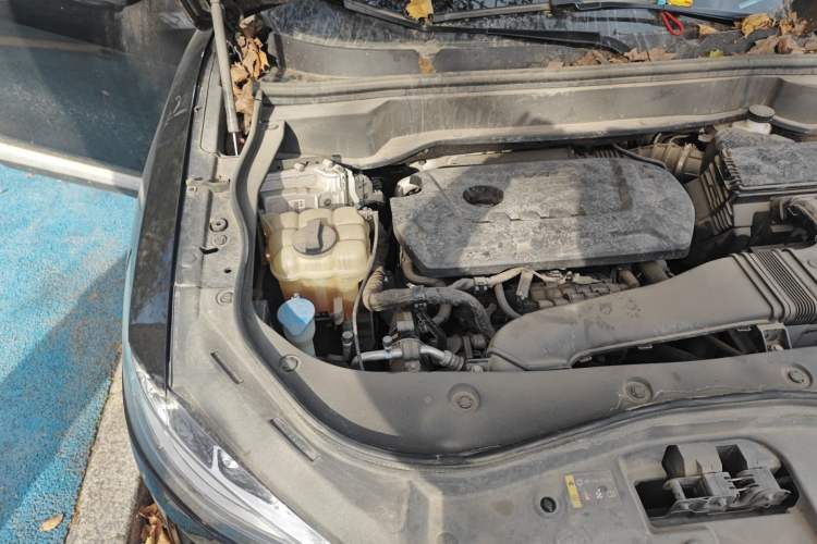 Used Haval F7x 2021 2.0T Two-Wheel Drive Intelligent Technology Edition Engine Bay Right