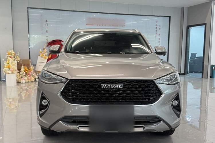 Used Haval F7x 2019 1.5T Two-Wheel Drive Intelligent Technology Edition Exterior 1