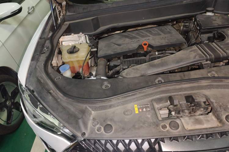 Used Haval F7x 2021 1.5T Two-Wheel Drive Smart & Trendy Edition Engine Bay Right