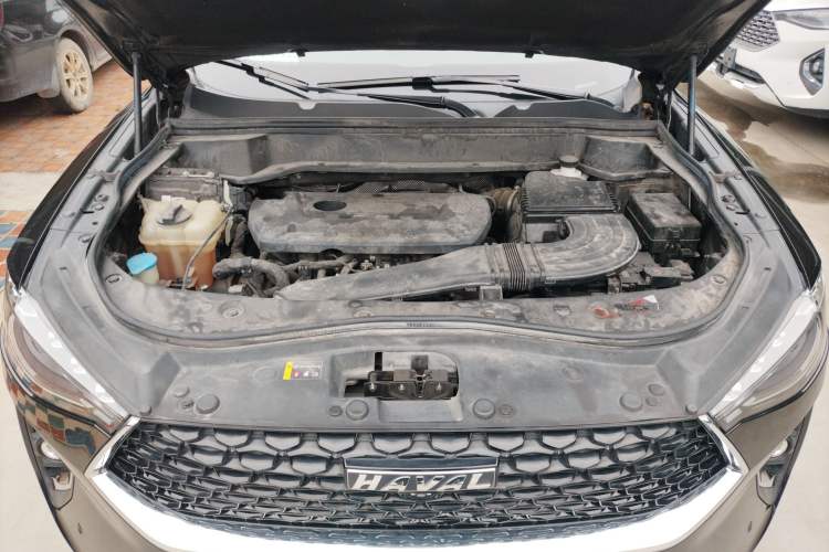 Used Haval F7x 2019 2.0T Two-Wheel Drive Intelligent Technology Edition Engine Bay