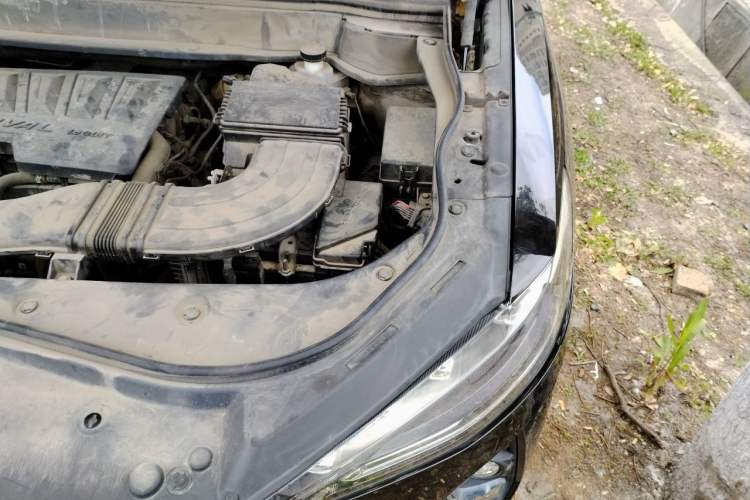 Used Haval F7x 2019 1.5T Two-Wheel Drive Intelligent Technology Edition Engine Bay Left