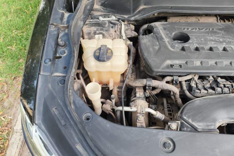 Used Haval F7x 2019 2.0T Two-Wheel Drive Intelligent Technology Edition Engine Bay Right
