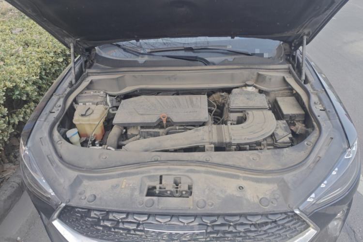 Used Haval F7x 2019 1.5T Two-Wheel Drive Smart & Trendy Edition Engine Bay