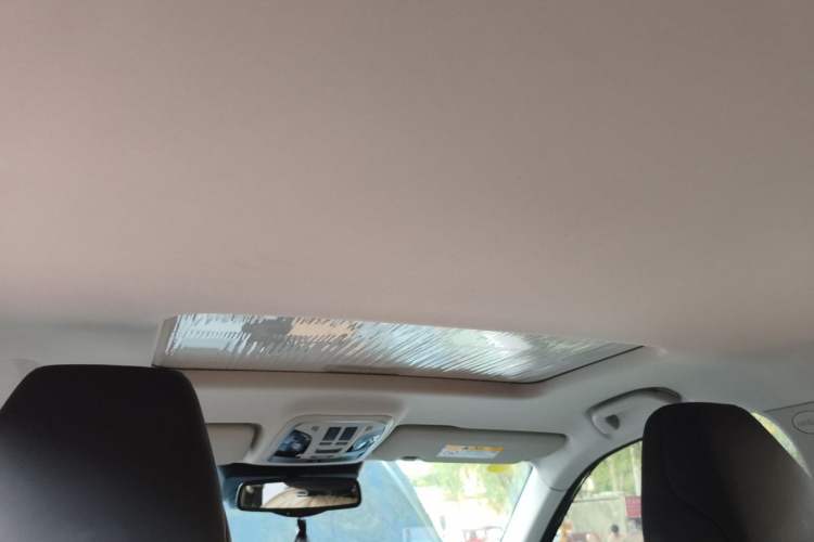 Used Haval F7x 2019 2.0T Two-Wheel Drive Intelligent Technology Edition Headliner
