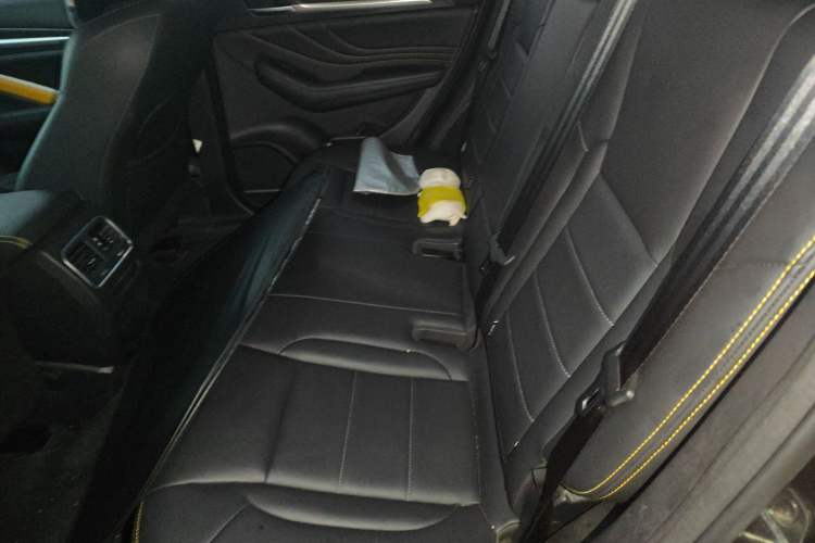 Used Haval F7x 2019 1.5T Two-Wheel Drive Smart & Trendy Edition Left Rear Seat