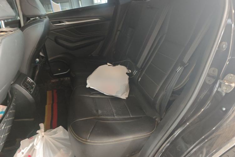 Used Haval F7x 2019 2.0T Two-Wheel Drive Intelligent Technology Edition Left Rear Seat