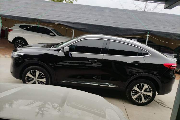 Used Haval F7x 2019 2.0T Two-Wheel Drive Intelligent Technology Edition Left Side