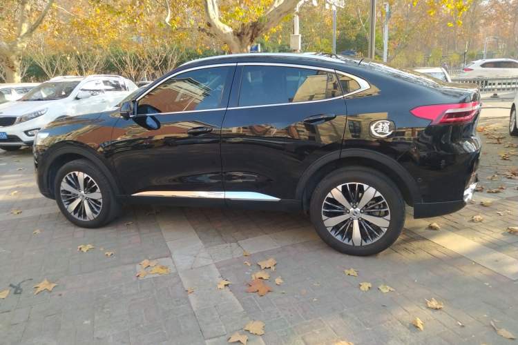 Used Haval F7x 2019 2.0T Two-Wheel Drive Intelligent Technology Edition Left Side