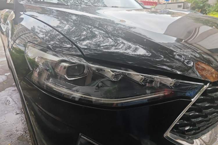 Used Haval F7x 2019 2.0T Two-Wheel Drive Intelligent Technology Edition Right Front Headlight