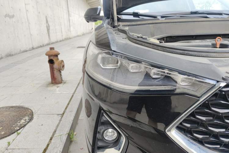 Used Haval F7x 2019 1.5T Two-Wheel Drive Intelligent Technology Edition Right Front Headlight