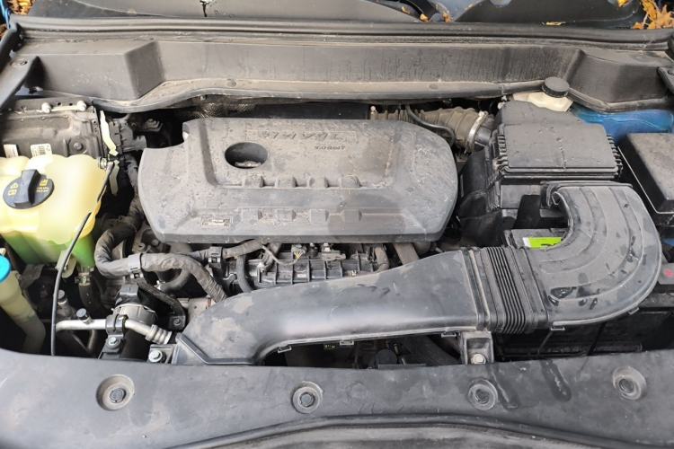 Used Haval F7x 2019 2.0T Two-Wheel Drive Intelligent Technology Edition Engine Bay