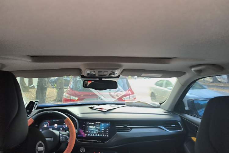 Used Haval F7x 2019 2.0T Two-Wheel Drive Intelligent Technology Edition Headliner