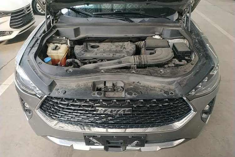 Used Haval F7x 2019 2.0T Two-Wheel Drive Intelligent Technology Edition Engine Bay