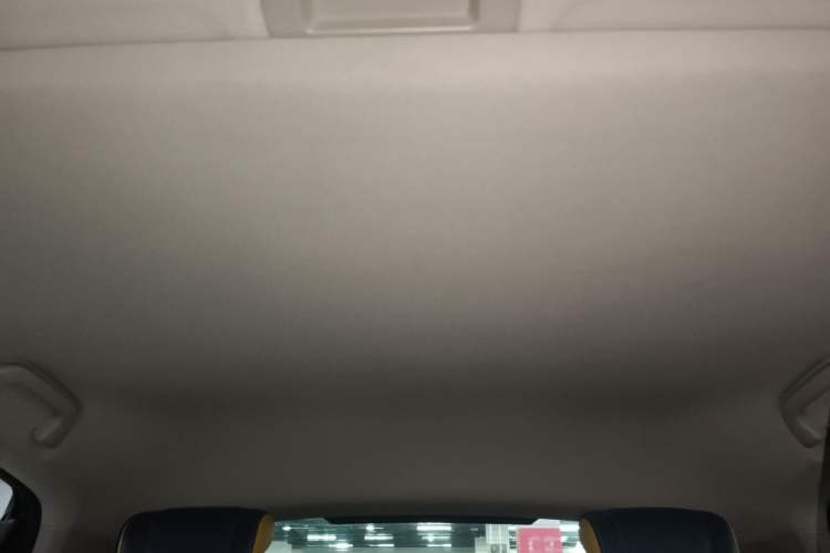 Used Haval F7x 2019 2.0T Four-Wheel Drive Performance Edition Headliner