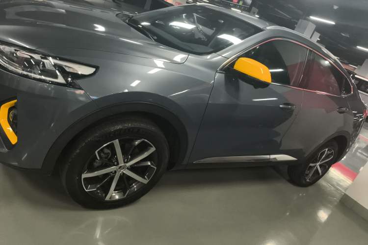 Used Haval F7x 2019 2.0T Four-Wheel Drive Performance Edition Left Side