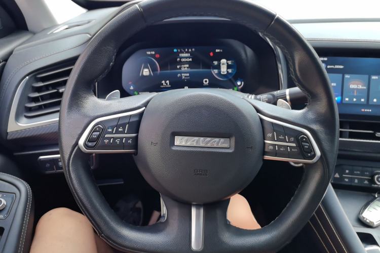 Used Haval F7x 2019 2.0T Two-Wheel Drive Intelligent Technology Edition Steering Wheel