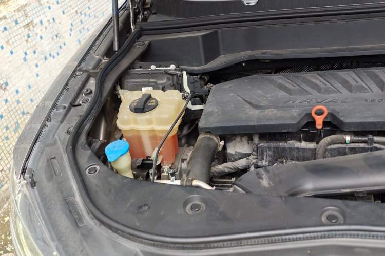 Used Haval F7x 2019 1.5T Two-Wheel Drive Smart & Trendy Edition Engine Bay Right