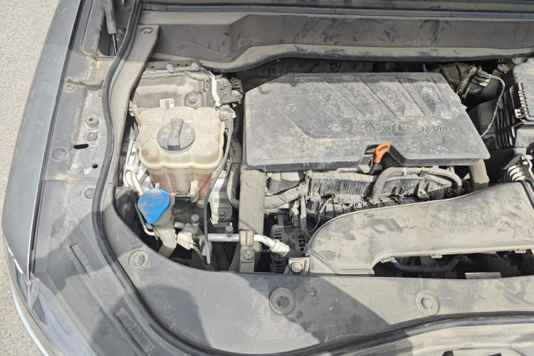Used Haval F7x 2019 1.5T Two-Wheel Drive Intelligent Technology Edition Engine Bay Right