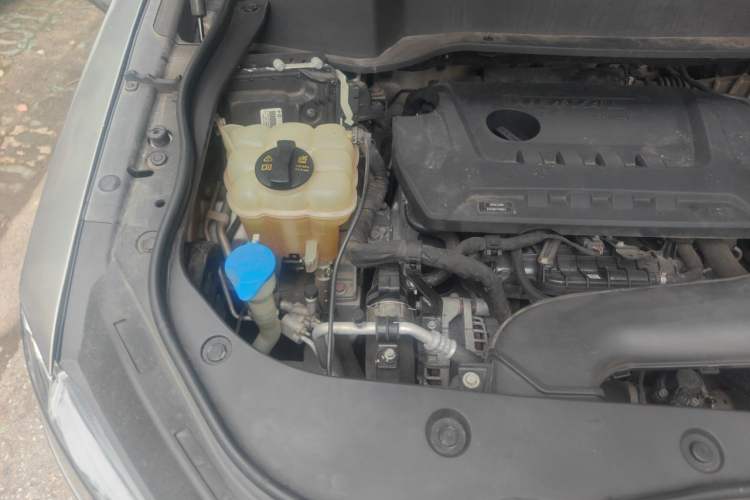 Used Haval F7x 2019 2.0T Two-Wheel Drive Intelligent Technology Edition Engine Bay Right