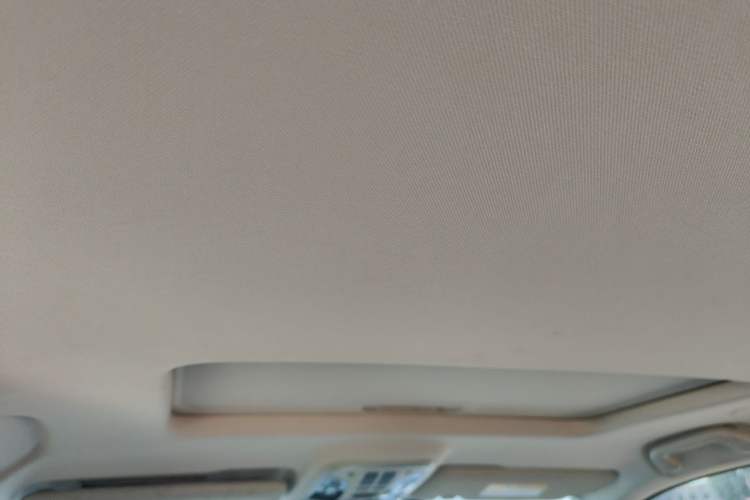 Used Haval F7x 2019 2.0T Four-Wheel Drive Performance Edition Headliner