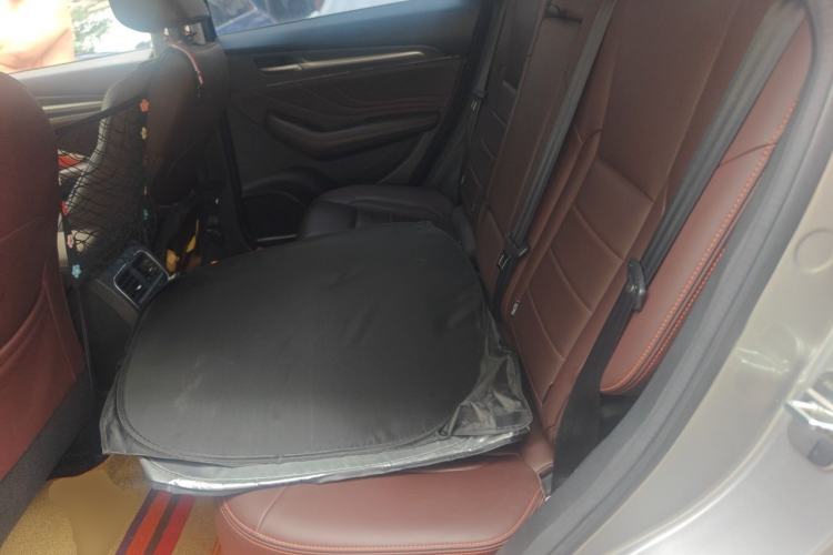 Used Haval F7x 2019 2.0T Two-Wheel Drive Intelligent Technology Edition Left Rear Seat