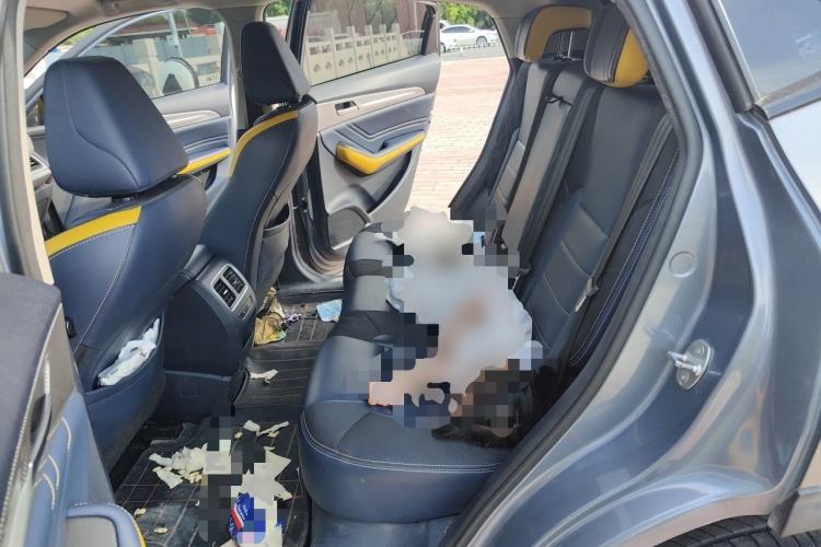 Used Haval F7x 2019 2.0T Four-Wheel Drive Performance Edition Left Rear Seat