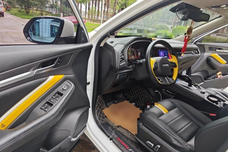 Used Haval F7x 2019 2.0T Two-Wheel Drive Intelligent Technology Edition Driver Seat