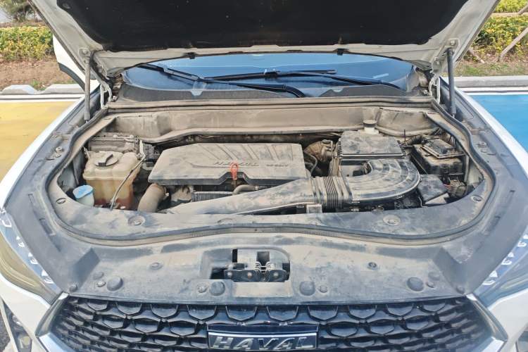 Used Haval F7x 2019 1.5T Two-Wheel Drive Smart & Trendy Edition Engine Bay