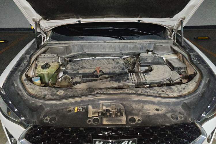 Used Haval F7x 2019 1.5T Two-Wheel Drive Intelligent Technology Edition Engine Bay