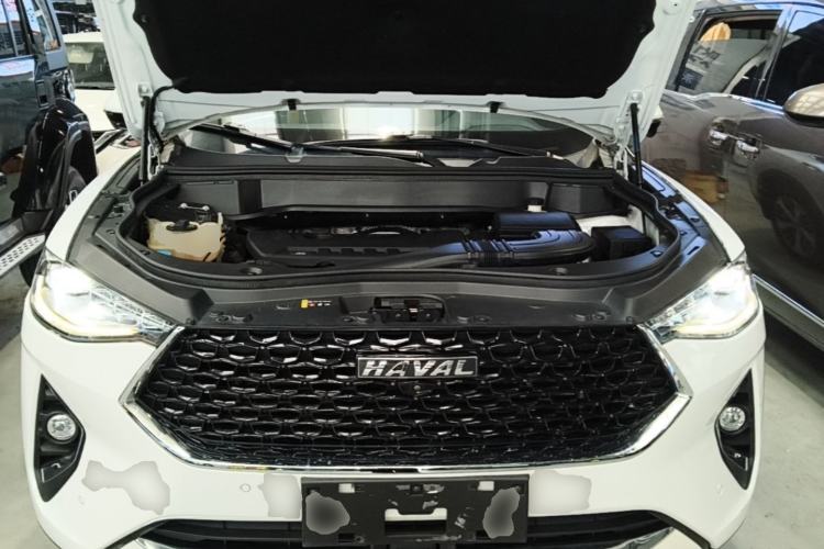 Used Haval F7x 2019 2.0T Two-Wheel Drive Intelligent Technology Edition Engine Bay