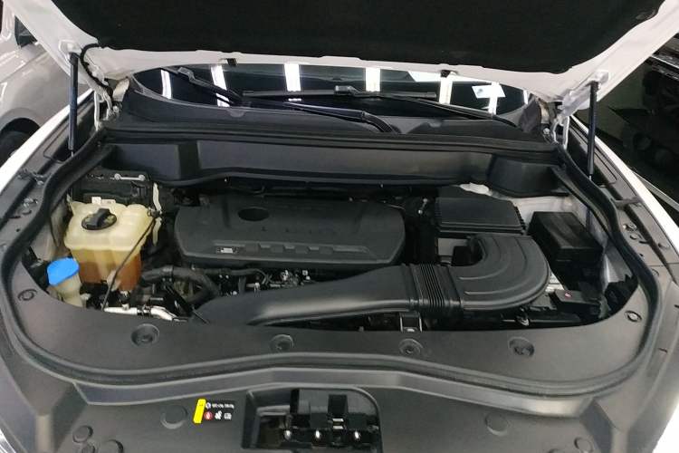 Used Haval F7x 2019 2.0T Two-Wheel Drive Intelligent Technology Edition Engine Bay