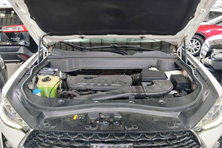 Used Haval F7x 2019 2.0T Two-Wheel Drive Intelligent Technology Edition Engine Bay
