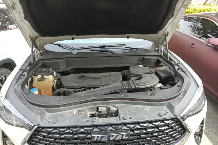 Used Haval F7x 2019 2.0T Two-Wheel Drive Intelligent Technology Edition Engine Bay