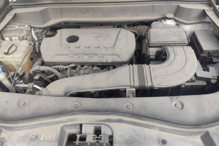 Used Haval F7x 2019 2.0T Two-Wheel Drive Intelligent Technology Edition Engine Bay