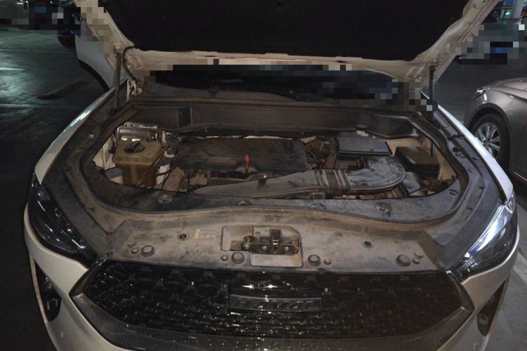 Used Haval F7x 2019 1.5T Two-Wheel Drive Intelligent Technology Edition Engine Bay