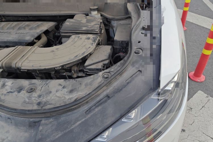 Used Haval F7x 2019 1.5T Two-Wheel Drive Smart & Trendy Edition Engine Bay Left