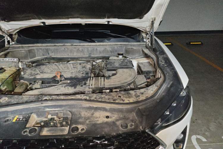 Used Haval F7x 2019 1.5T Two-Wheel Drive Intelligent Technology Edition Engine Bay Left