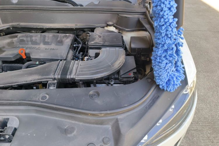 Used Haval F7x 2019 1.5T Two-Wheel Drive Smart & Trendy Edition Engine Bay Left