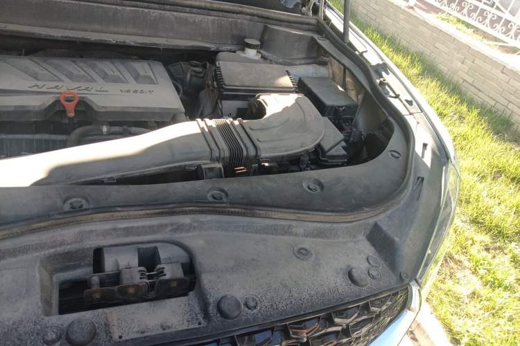 Used Haval F7x 2019 1.5T Two-Wheel Drive Intelligent Technology Edition Engine Bay Left