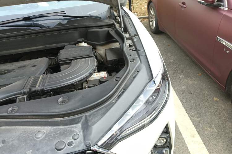 Used Haval F7x 2019 2.0T Two-Wheel Drive Intelligent Technology Edition Engine Bay Left