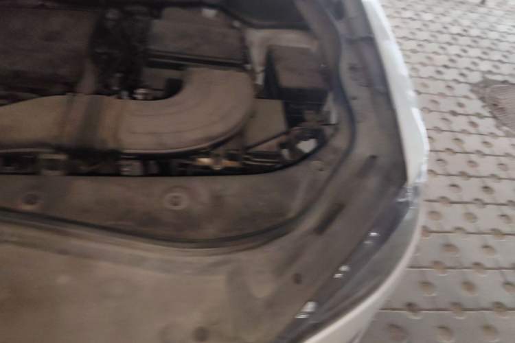 Used Haval F7x 2019 1.5T Two-Wheel Drive Intelligent Technology Edition Engine Bay Left