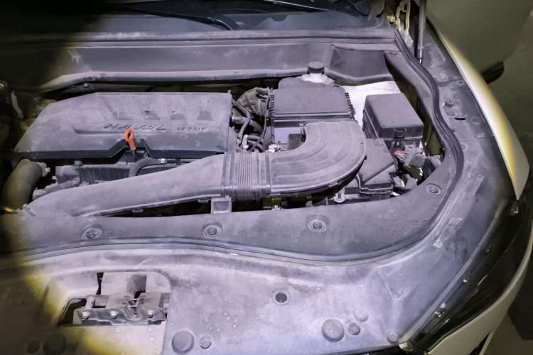 Used Haval F7x 2019 1.5T Two-Wheel Drive Smart & Trendy Edition Engine Bay Left