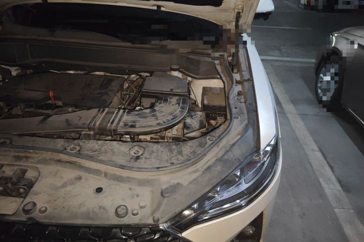 Used Haval F7x 2019 1.5T Two-Wheel Drive Intelligent Technology Edition Engine Bay Left