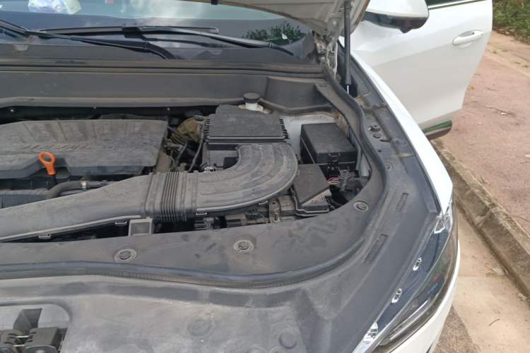 Used Haval F7x 2019 1.5T Two-Wheel Drive Smart & Trendy Edition Engine Bay Left