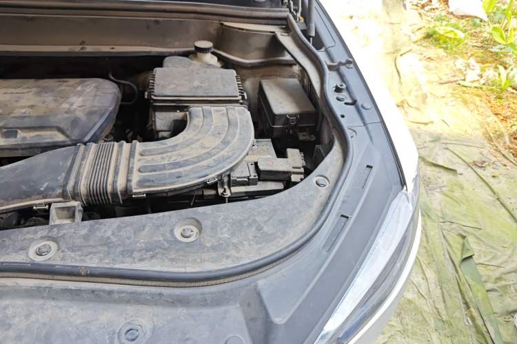 Used Haval F7x 2019 2.0T Two-Wheel Drive Intelligent Technology Edition Engine Bay Left